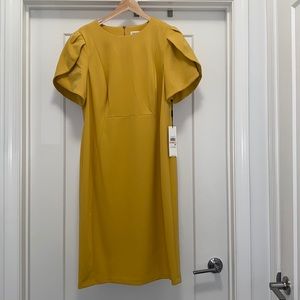 🌼 NWT! Gold Calvin Klein Sheath Tulip Sleeve Dress